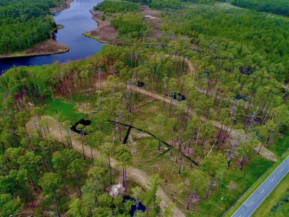 Land for sale at Off Sladesville Credle Rd.