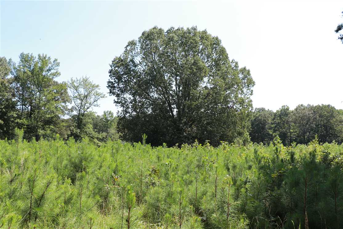 property for sale on The Land Market