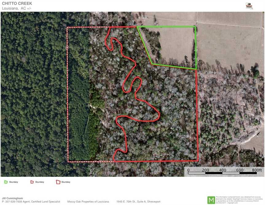 41.3 Acres of Land for sale in beauregard County, Louisiana