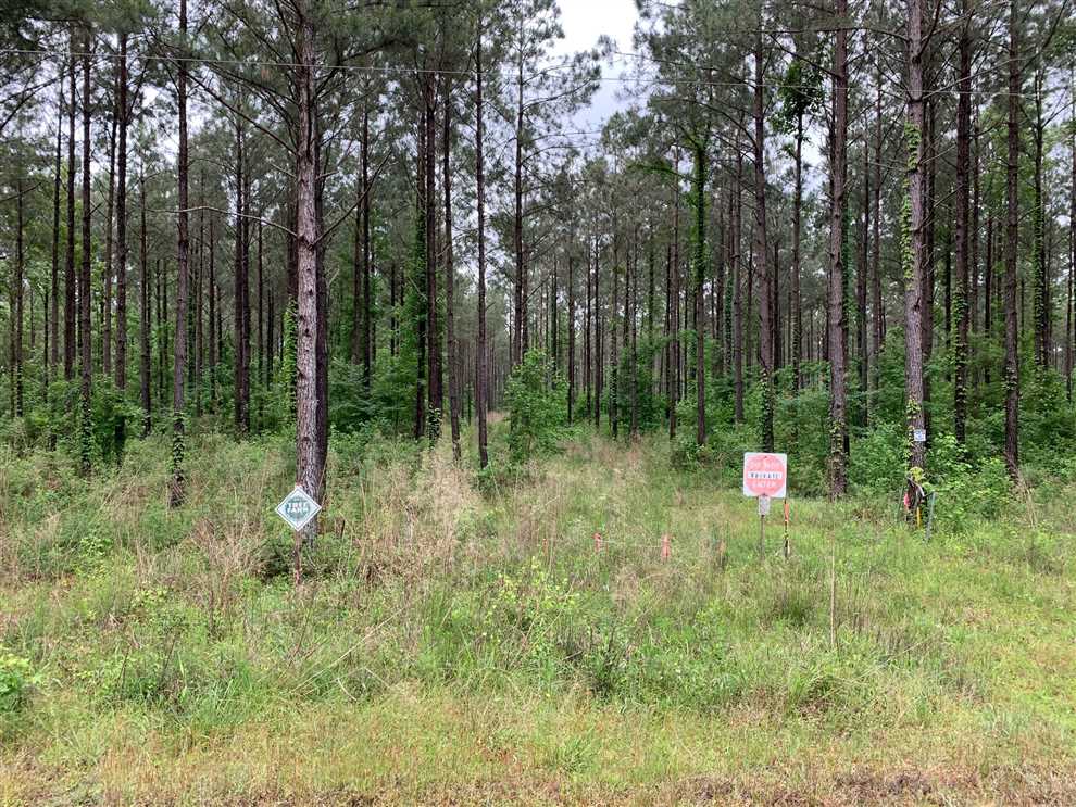 lincoln County, Louisiana property for sale