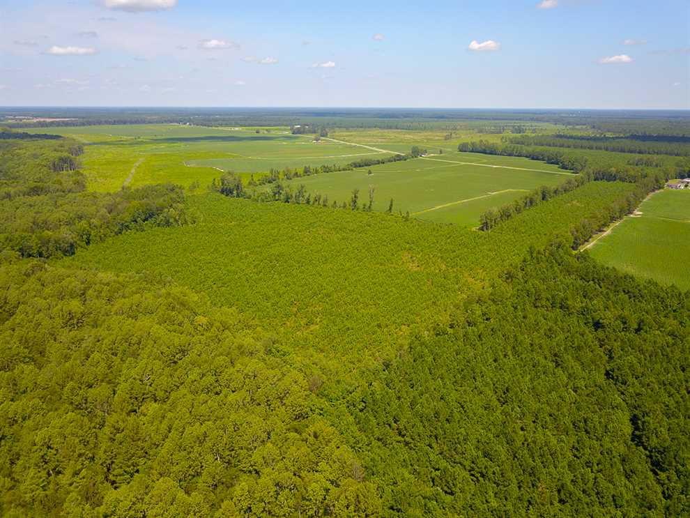 Land for sale at Off Moore Rd
