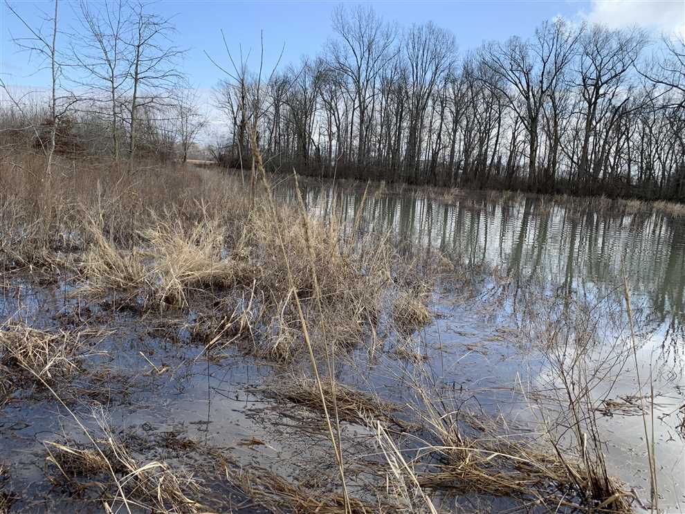 143 Acres of Recreational land for sale in Bradford, jackson County, Arkansas