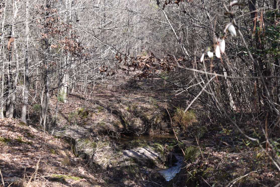 130 Acres of Recreational land for sale in Stephens, columbia County, Arkansas