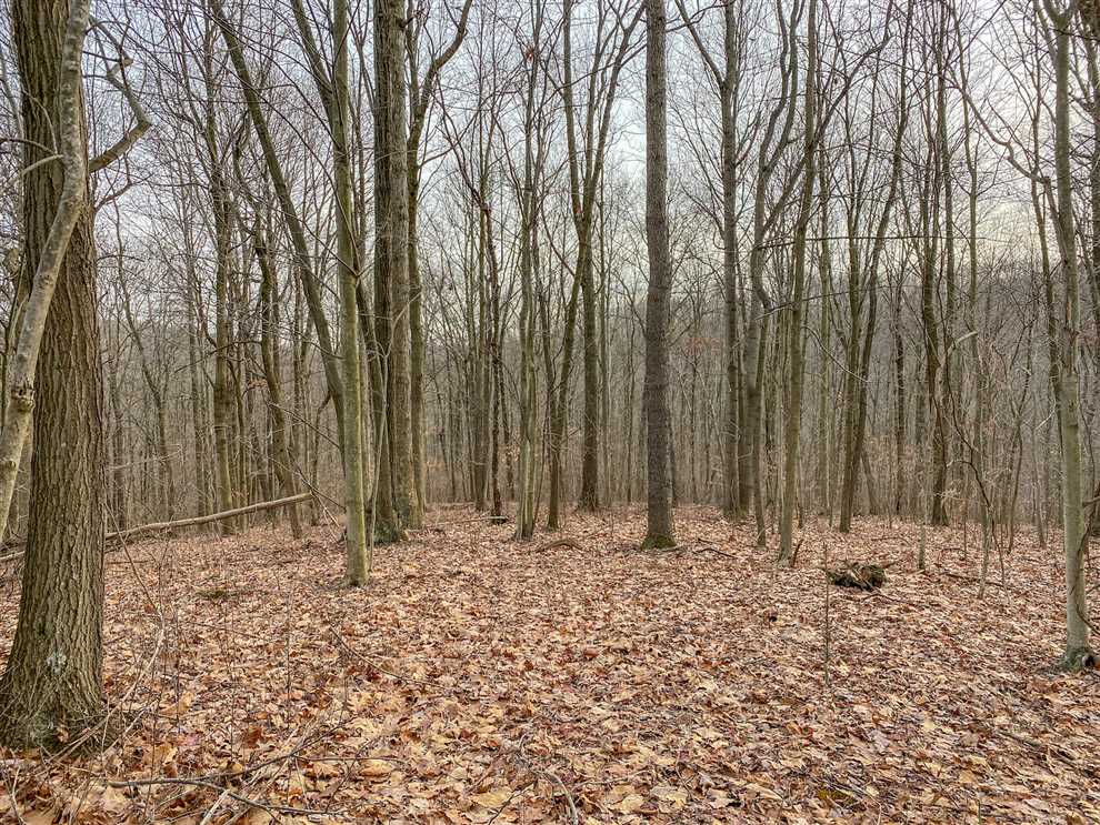 257 Acres of Land for sale in westmoreland County, Pennsylvania