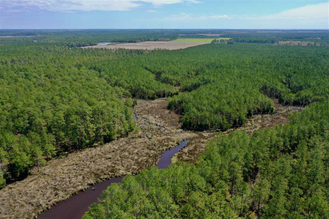 Houses and land for sale in North Carolina