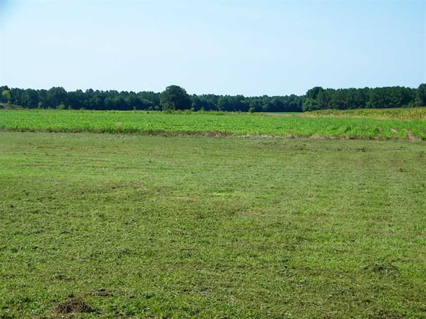 Land for sale at Off Deloatche Ave Lot C