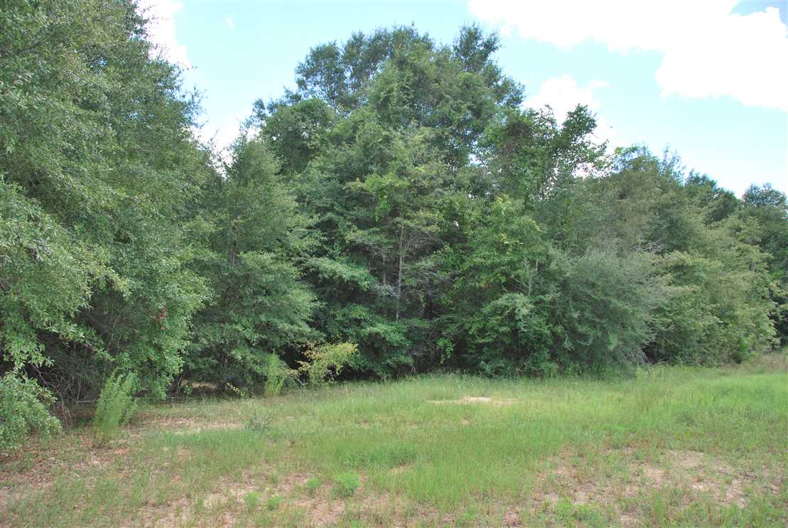 dale County, Alabama property for sale