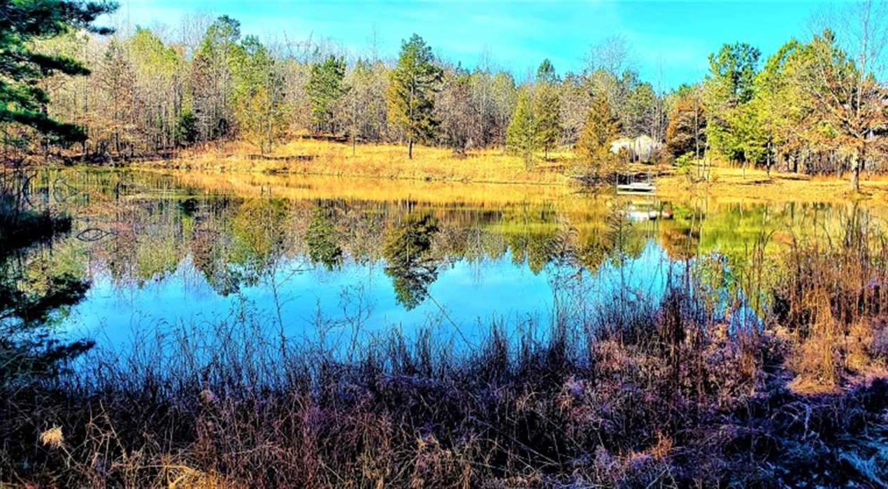 68 Acres of Land for Sale in mcnairy County Tennessee