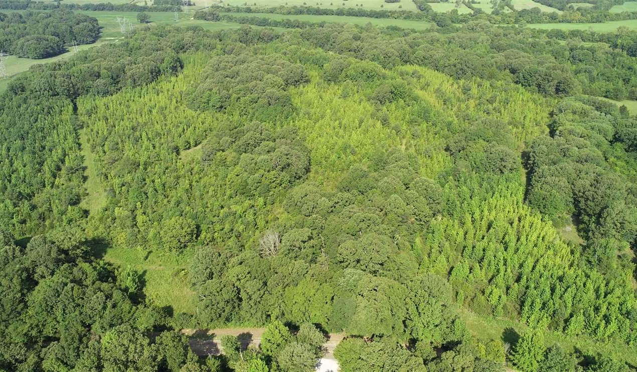 62 Acres of Land for Sale in lee County Mississippi