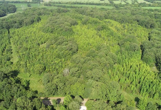 62 Acres of Land for Sale in lee County Mississippi