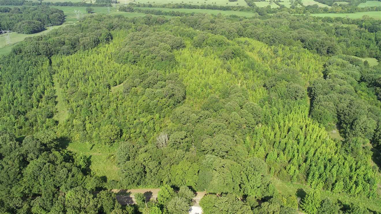 62 Acres of Land for Sale in lee County, Mississippi