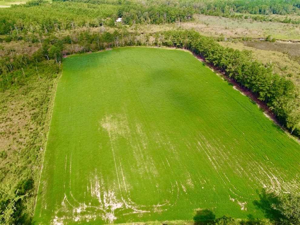 33 Acres of Recreational land for sale in Merritt, pamlico County, North Carolina