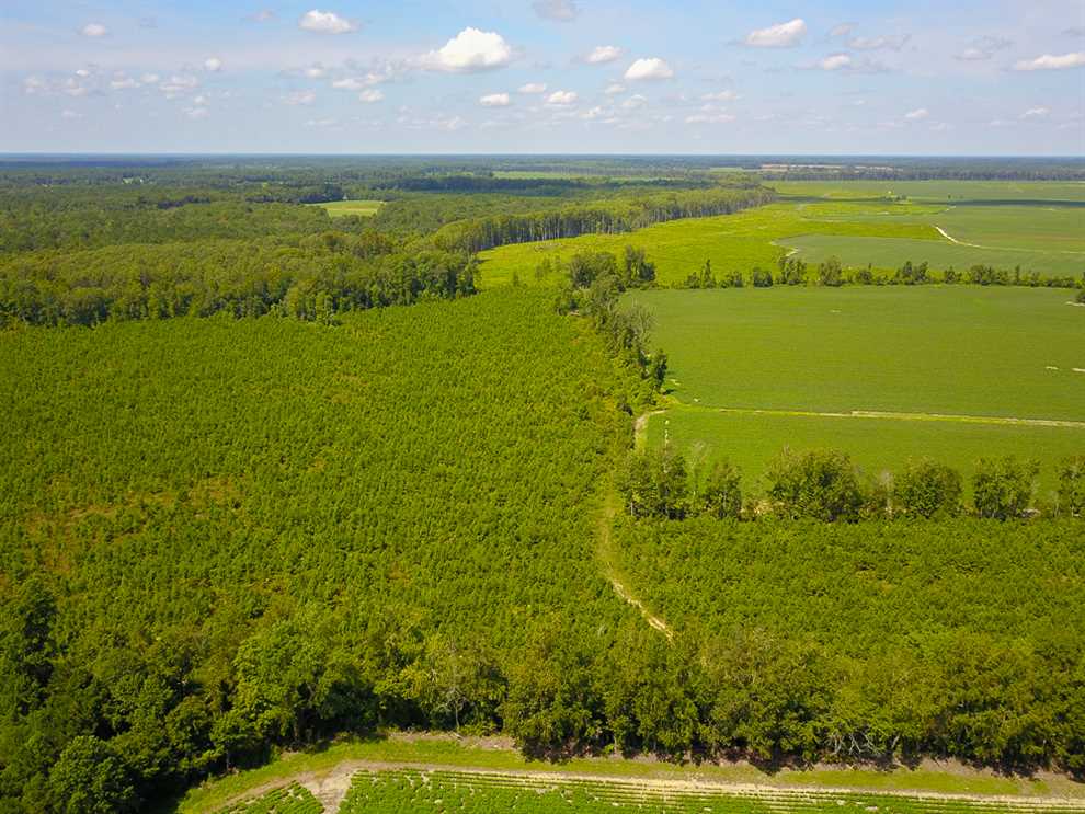 Property for sale at Off Moore Rd