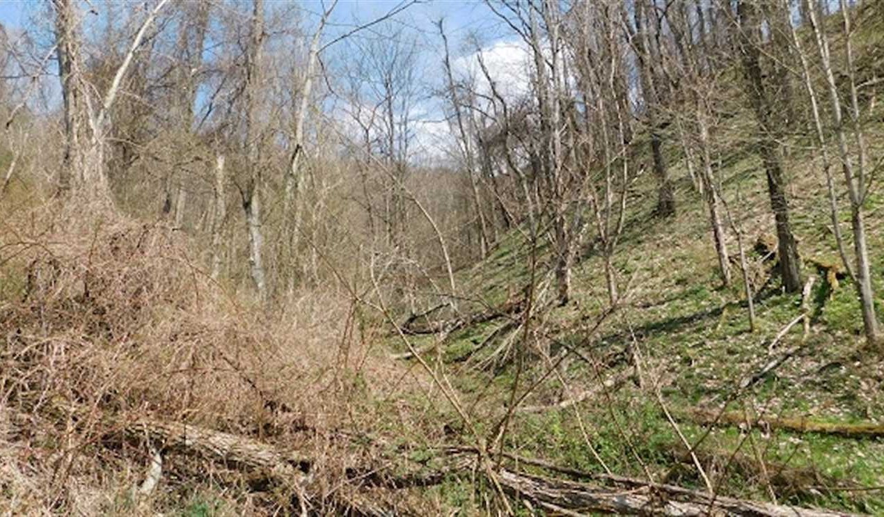 Recreational and   property for sale on The Land Market