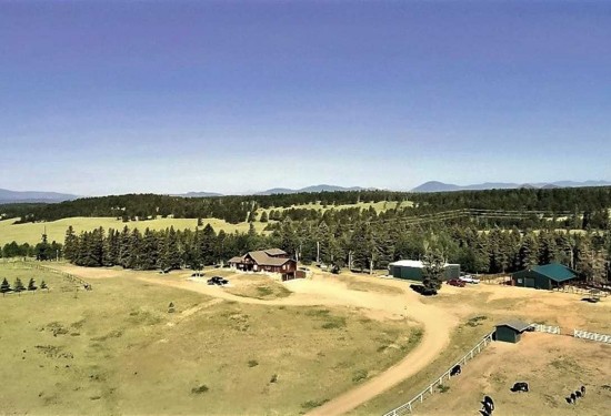 62.73 Acres of Land for Sale in teller County Colorado