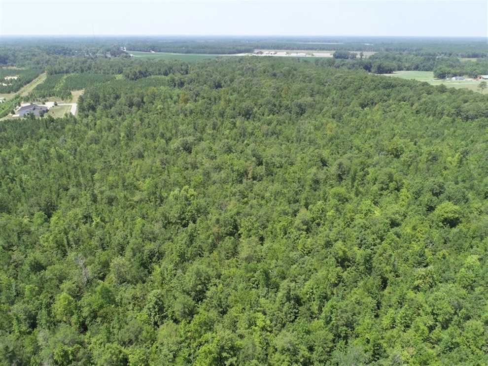 Residential and   property for sale on The Land Market