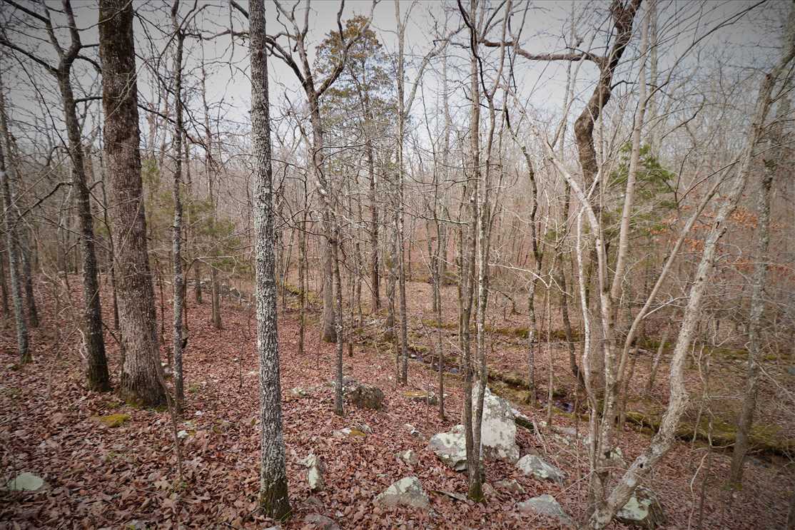 pulaski County, Arkansas property for sale