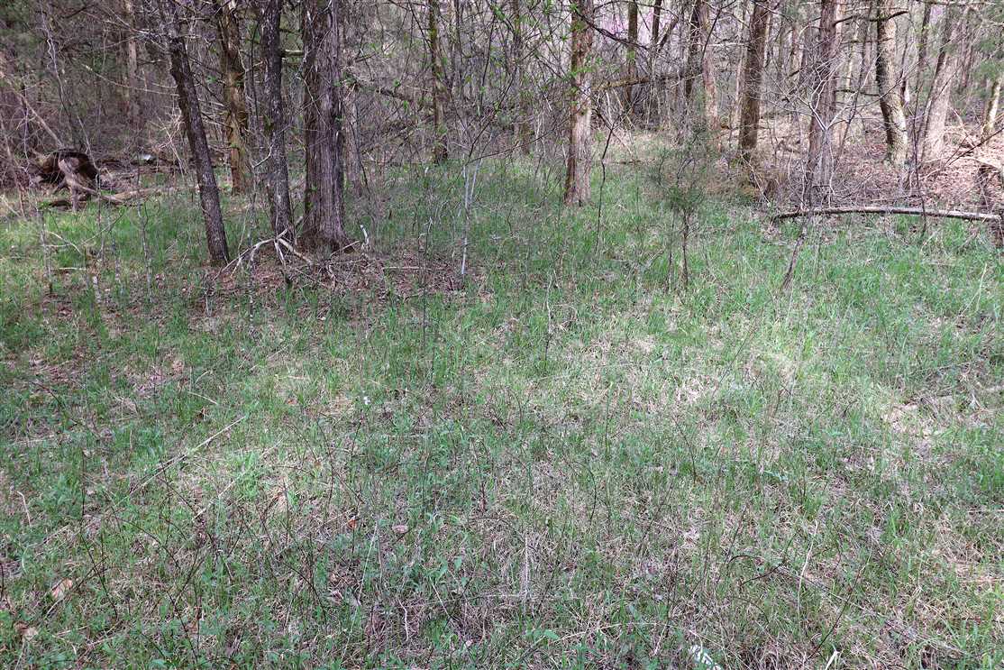 Land for sale at