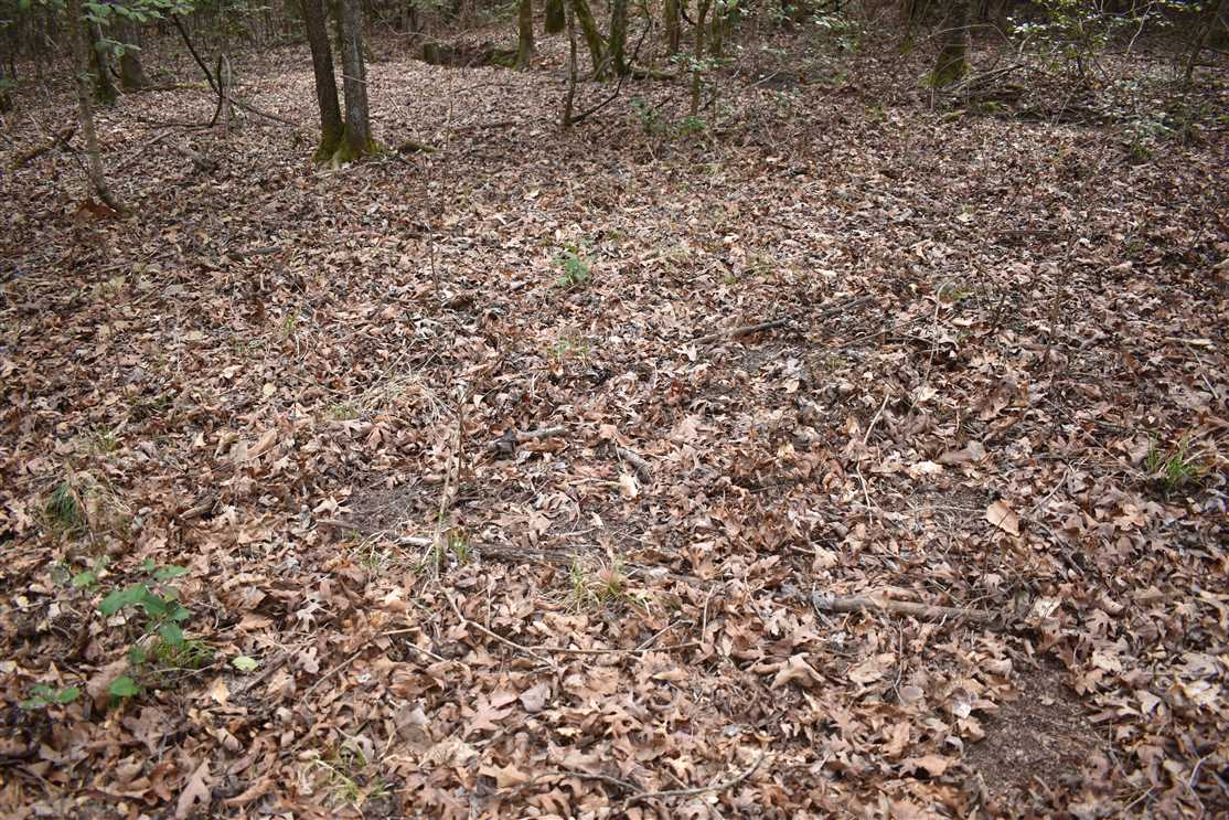 40 Acres of Land for Sale in nevada County, Arkansas