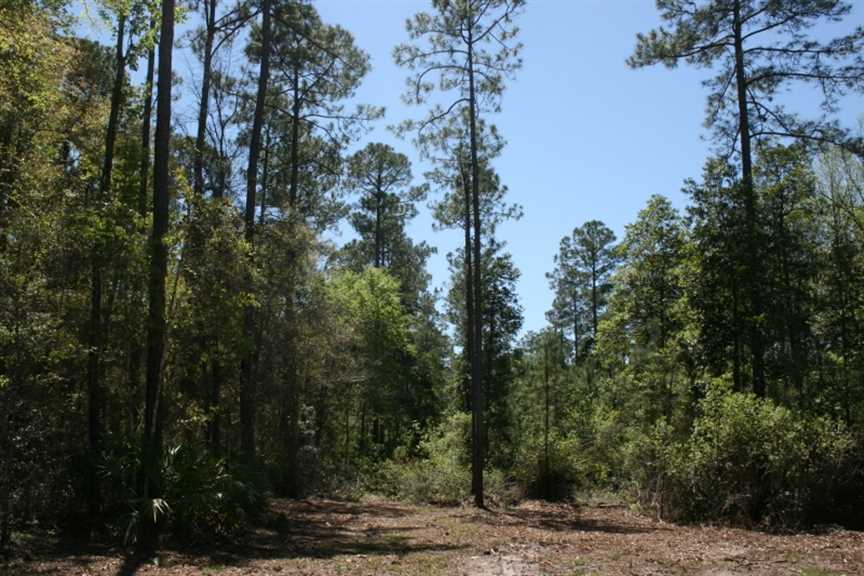 73.78 Acres of Residential land for sale in Brunswick, glynn County, Georgia