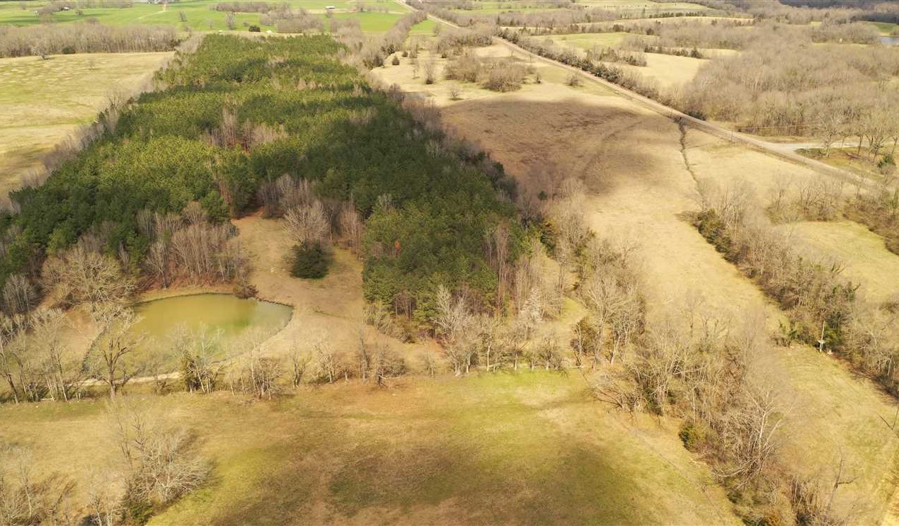 Timberland land real estate to buy in oktibbeha County MS