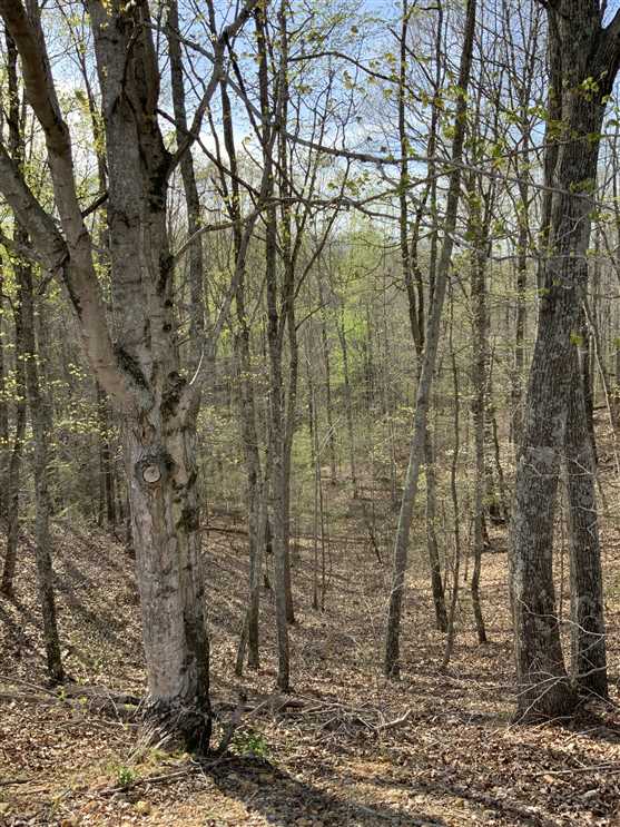 humphreys County, Tennessee property for sale