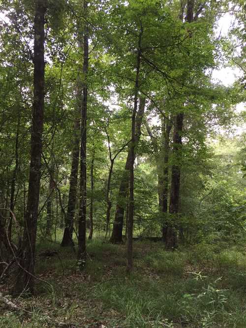 Property for sale at