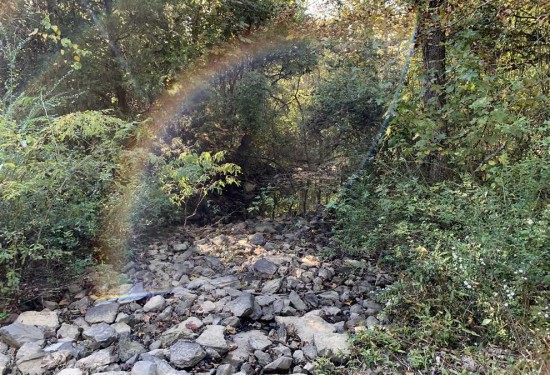 77 Acres of Land for Sale in white County Arkansas