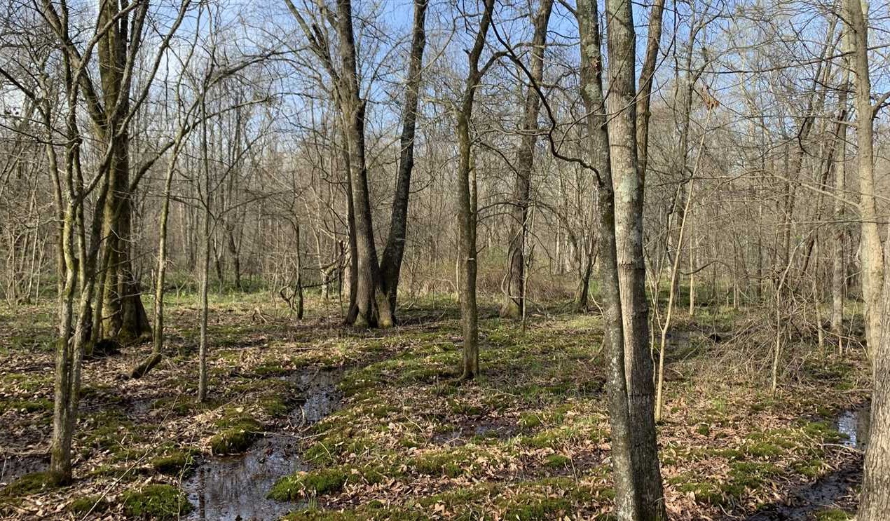 63 Acres of Land for sale in jefferson County, Arkansas