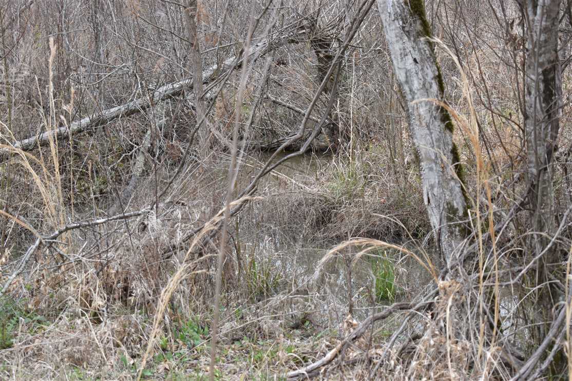 Land for sale to buy in 71825 zip code