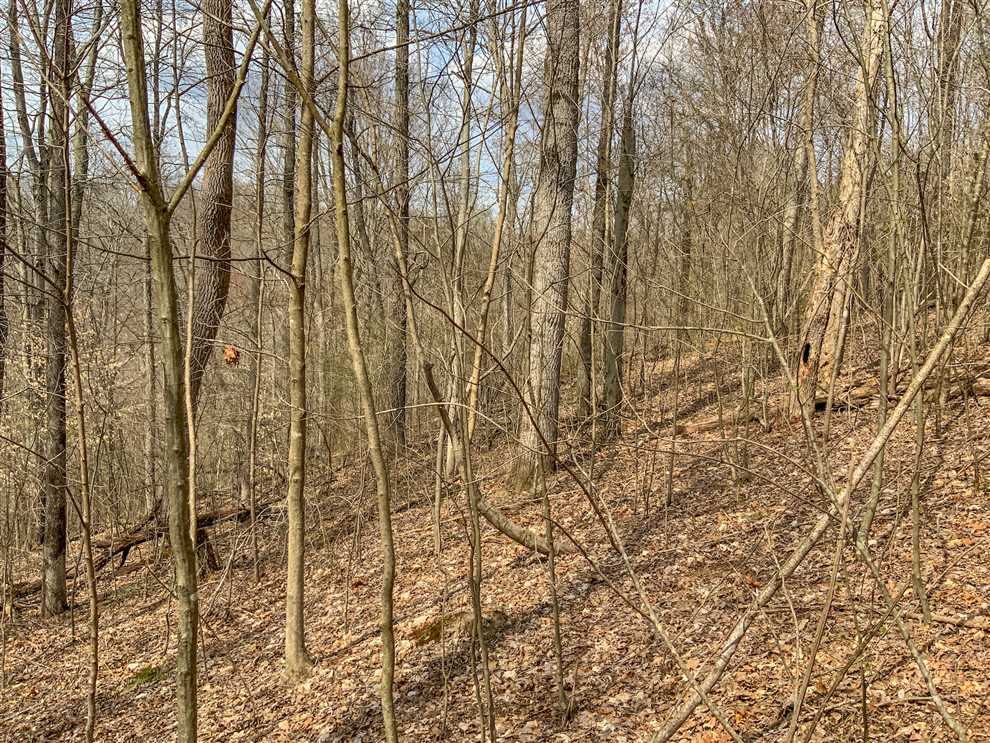 105 Acres of Recreational land for sale in Mcarthur, vinton County, Ohio