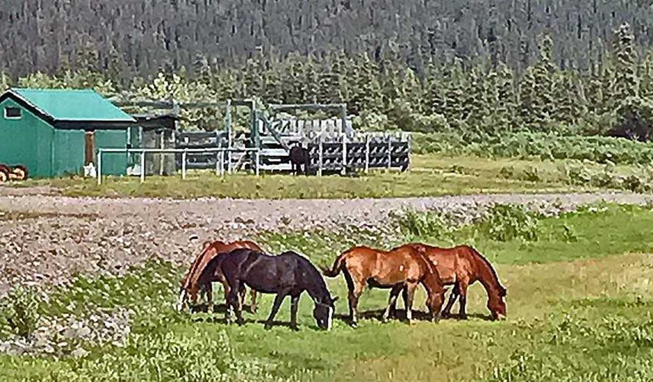 34.5 Acres of Residential land for sale in Chisana, fairbanks north star County, Alaska