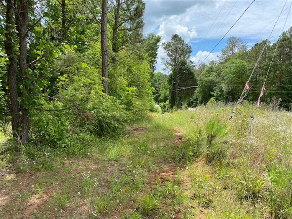 8.24 Acres of Residential land for sale in Ideal, macon County, Georgia