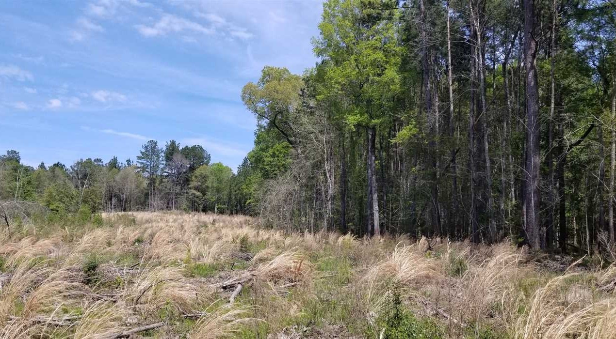 Florien land available for purchase