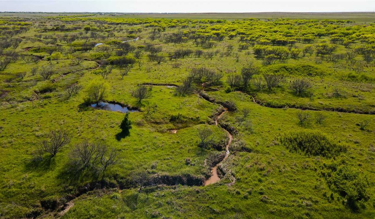 775 Acres of Residential land for sale in Henrietta, clay County, Texas