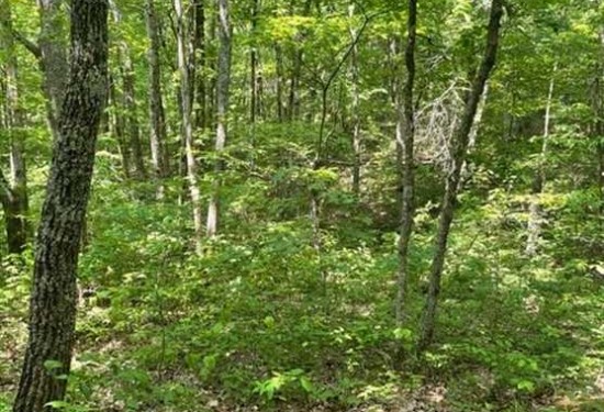 6.08 Acres of Land for Sale in grundy County Tennessee
