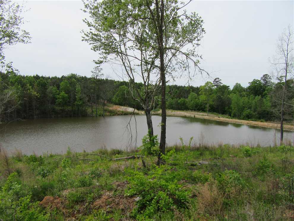 45 Acres of Land for sale in hempstead County, Arkansas