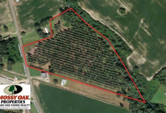 12.88 Acres of Land for Sale in robeson County North Carolina