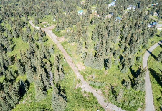 1 Acres of Land for Sale in kenai peninsula County Alaska
