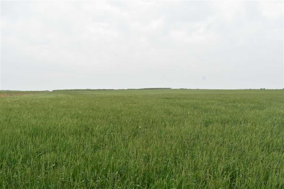 Farmland real estate available to buy