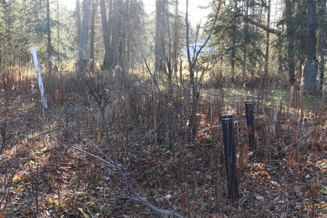 0.96 Acres of Residential land for sale in Kenai, kenai peninsula County, Alaska