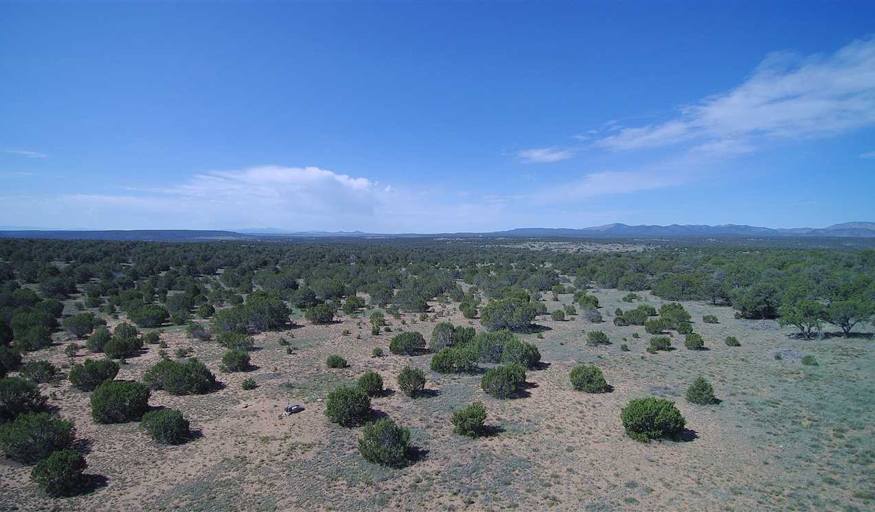 3BR/2BA Country Home with Workshop on 40 acres at Corona, NM Real estate listing