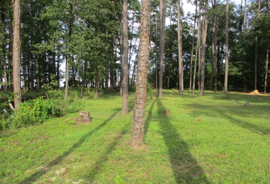 1.8 Acres of Land for Sale in henry County Alabama