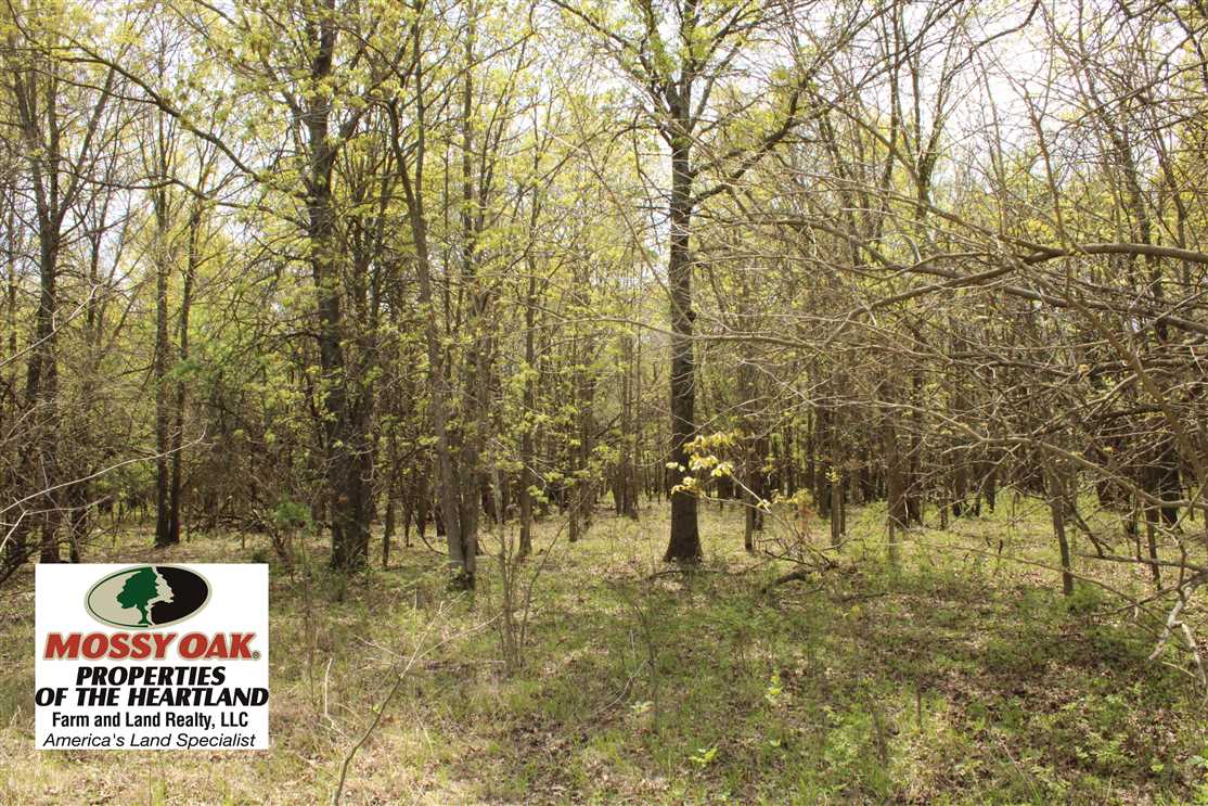 woodson County, Kansas property for sale