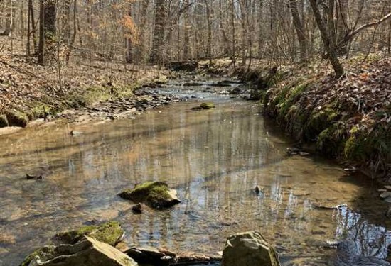 20.6 Acres of Land for Sale in guilford County North Carolina