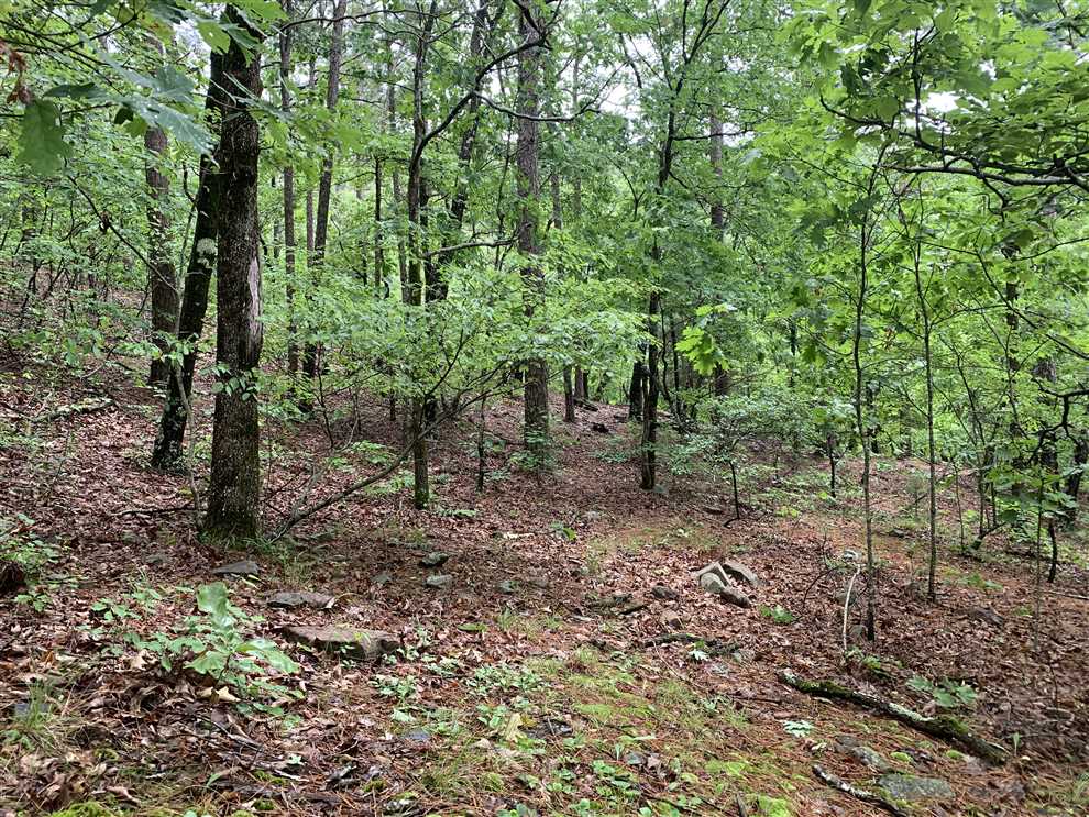 40 Acres of Land for sale in logan County, Arkansas