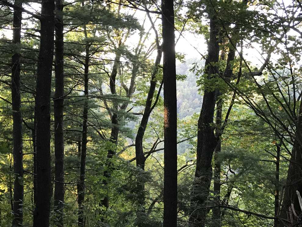 Land for sale to buy in 28645 zip code
