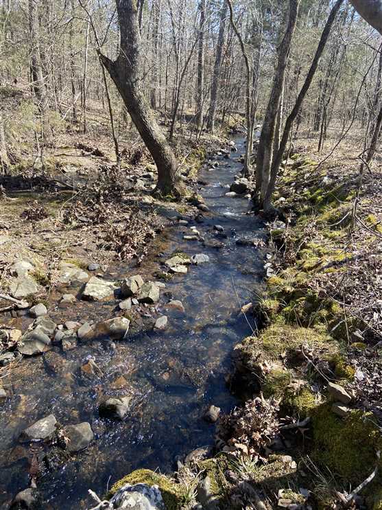 Development real estate available to buy
