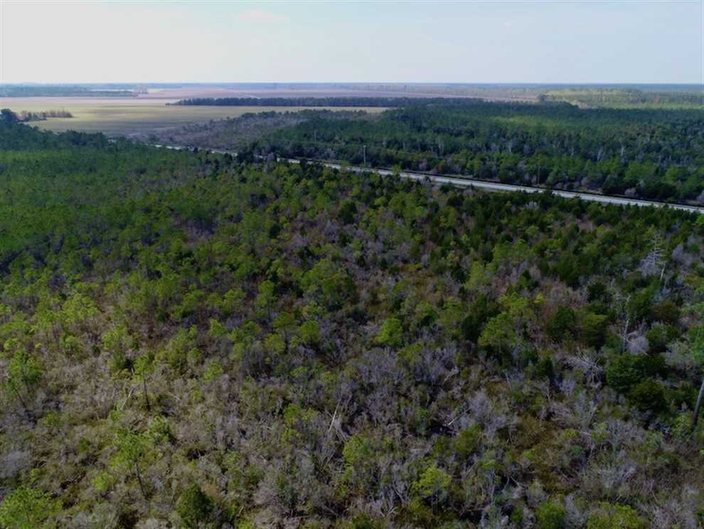 16.64 Acres of Land for sale in pamlico County, North Carolina