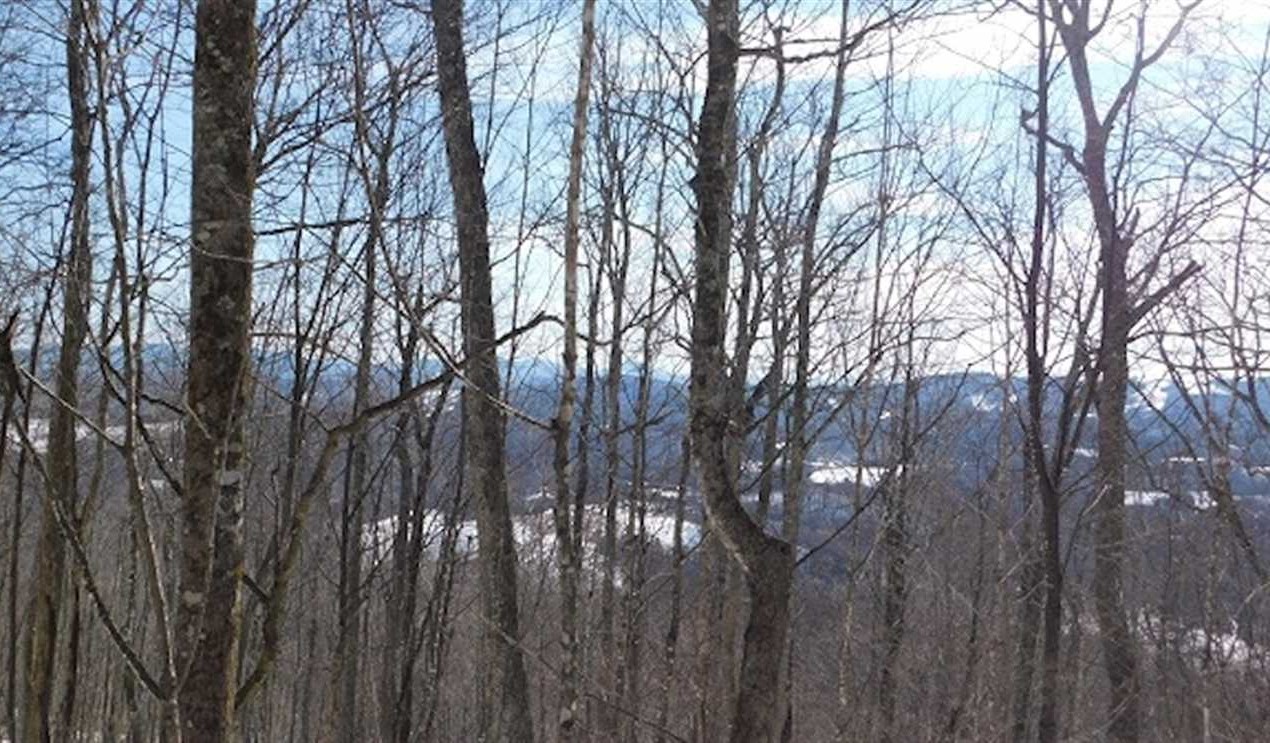 3.04 Acres of Residential land for sale in Whitetop, grayson County, Virginia